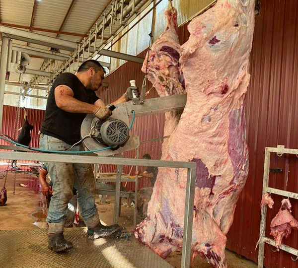 Alaşehir kasap Tanrıkulu Hayvancılık